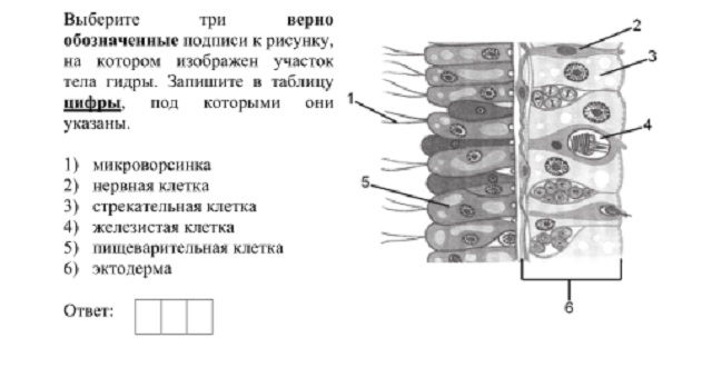 2krn cc что это