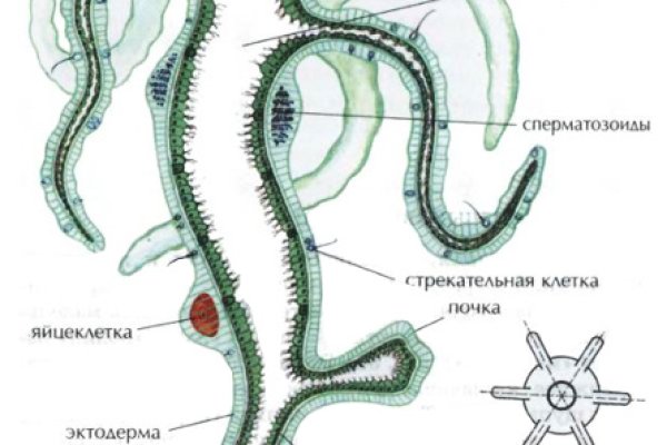 Дарк маркетплейс кракен